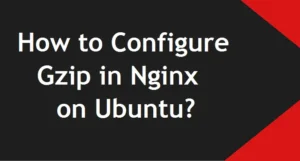 Configure-Gzip-in-Nginx-on-Ubuntu