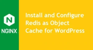 Install-and-Configure-Redis-as-Object-Cache-for-Wordpress