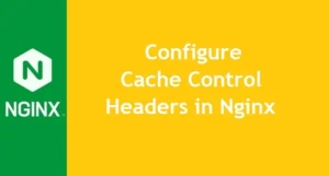 configure-cache-control-in-nginx