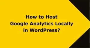 How-to-Host-Google-Analytics-Locally-in-WordPress